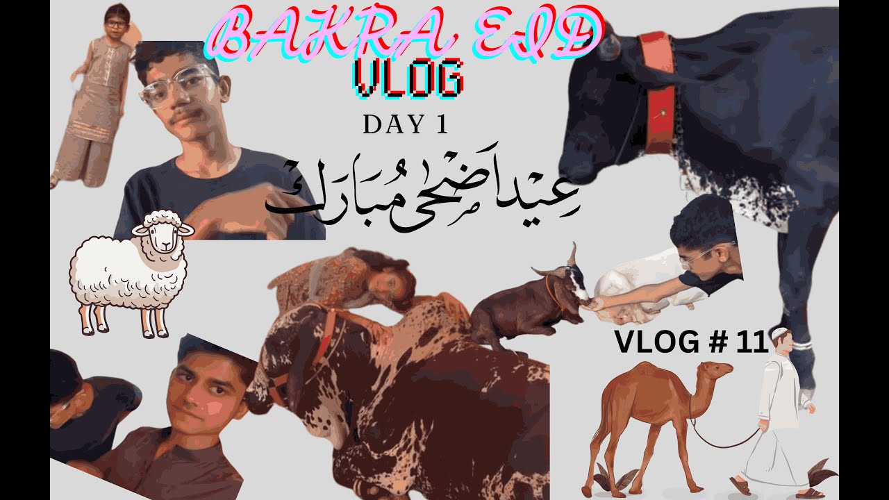 Bakra Eid Day 1 |Last Day With Cows | BY BRO KNOWS | VLOG 11