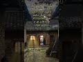شبتون پراز ستاره