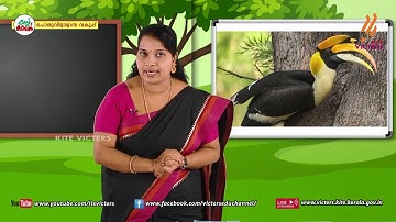 KITE VICTERS STD 04 Malayalam Class 17 (First Bell-ഫസ്റ്റ് ബെല്‍)