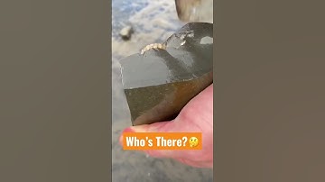 Breaking Open A Rock! To Find An Ammonite Surprise.🤔#shorts