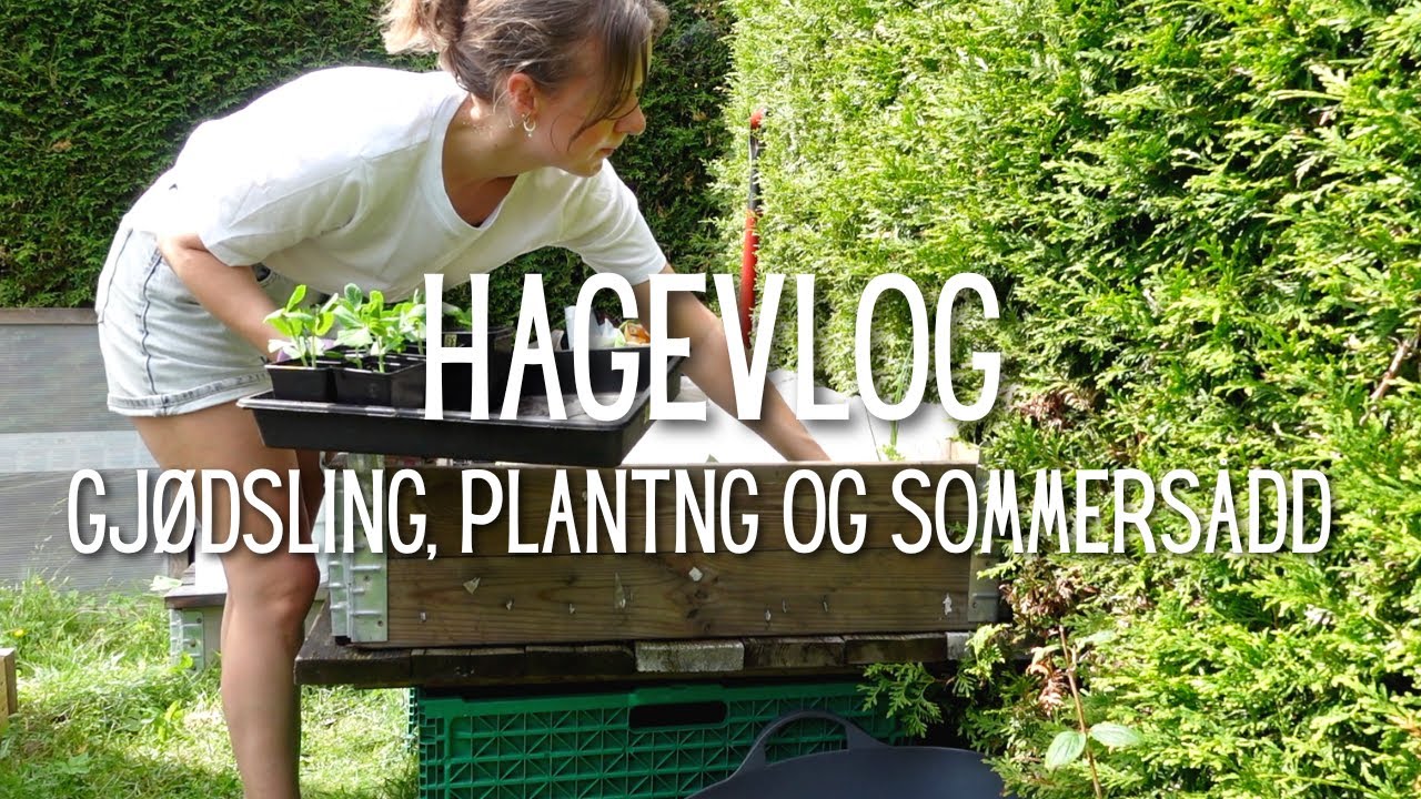 HAGEVLOG | Gjødsling, planting og sommersådd