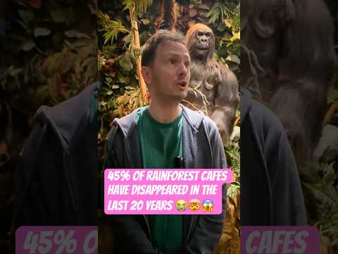 45% of Rainforest Cafes have disappeared in the last 20 years