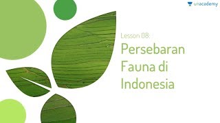 Persebaran Fauna di Indonesia (Geografi - SBMPTN, UN, SMA)