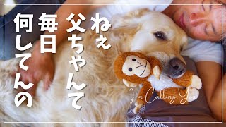 配信サボってた父ちゃんに密着してみた｜気づいた人は農に向かう｜ゴールデンレトリバーと50代の北海道暮らし