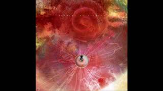 Animals as Leaders - Air Chrysalis/Another Year