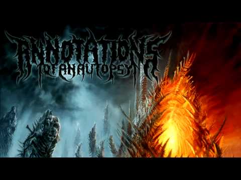 Portrait Of Souls Video