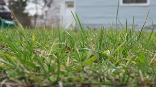 Buffalo Launches $1K Vacant lot program