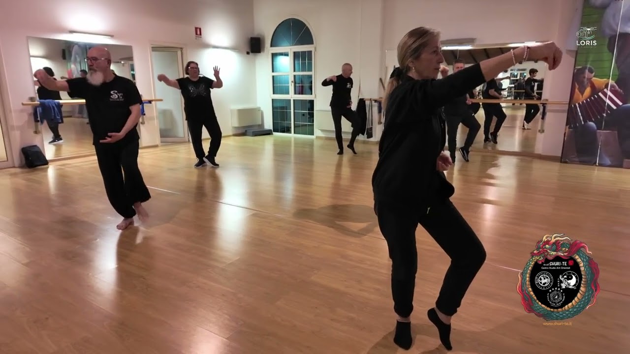 TAI CHI FU STYLE E SHENG MING.