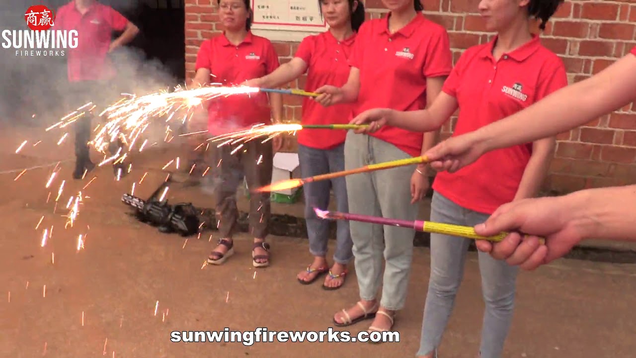 1# SW G2001 hand hold Torch