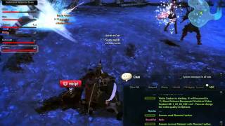Vindictus Howling Soul Glitch