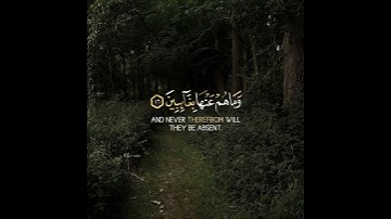 سورة الانفطار #قرآن #قران_كريم #quran #اكسبلور