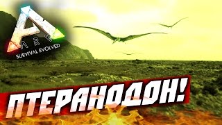картинка: ARK: Survival Evolved — (Первый Птеранодон!) #4