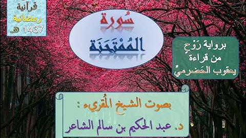 ^( سُورة المُمتحنة )^ برواية رَوْحٍ عن يعقوب الحضرمي / للشيخ المُقريء : د. عبد الحكيم الشاعر