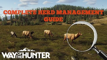 HERD MANAGEMENT GUIDE | WAY OF THE HUNTER  |