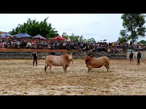 Nyuj Sib Nraus Xeev Khuam 21 6 2025