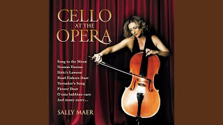 Rusalka, Op.114, B. 203, Act I: Song To The Moon (Arr. for Cello and Orchestra)