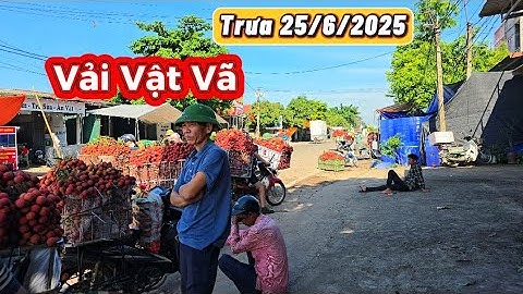 BÁN VẢI THIỀU VẬT VÃ BÀ CON DẦM SƯƠNG MAI - ĐỘI NẮNG GẮT I NÚI ĐỒI LỤC NGẠN