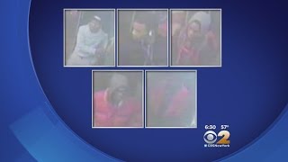 Help Police Find Brownsville Rape Suspects