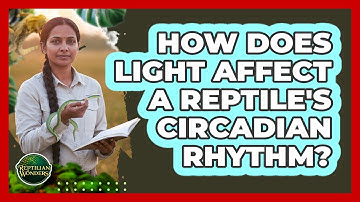 How Does Light Affect A Reptile