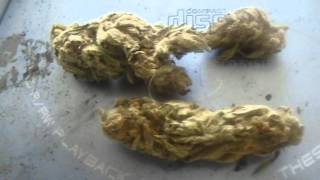 Come & Get HIGH With Me!