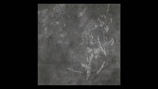 Exiled From Light - There Is No Beauty Left Here (Full Album) (2010)