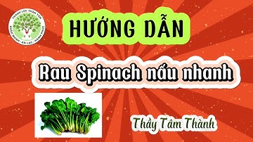 Nghệ Thuật Sống | Cách nấu nhanh rau Spinach (còn gọi là rau chân vịt/cải bó xôi) - Thầy Tâm Thành