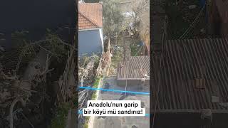 burası neresi... #dehlizsiir #gündem #sondakika #ekonomi #deprem #haber #avrupa