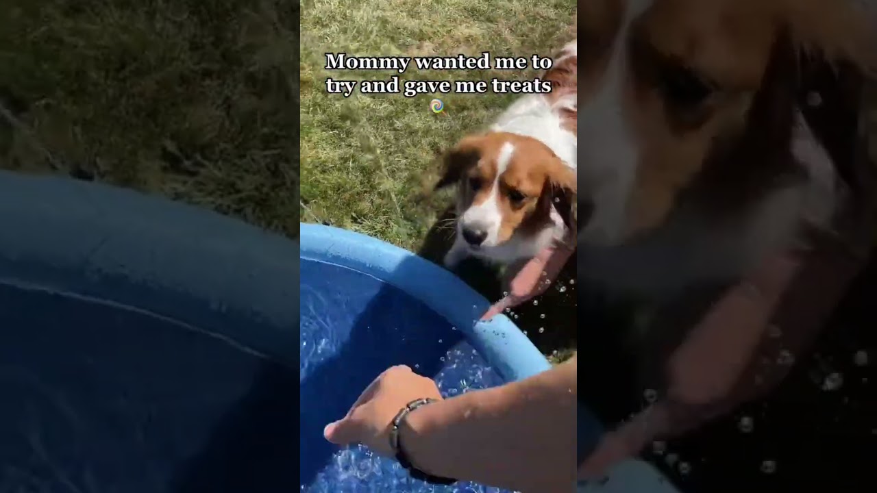 Summer Sprinkler Pad - Bring the Ocean to your Backyard