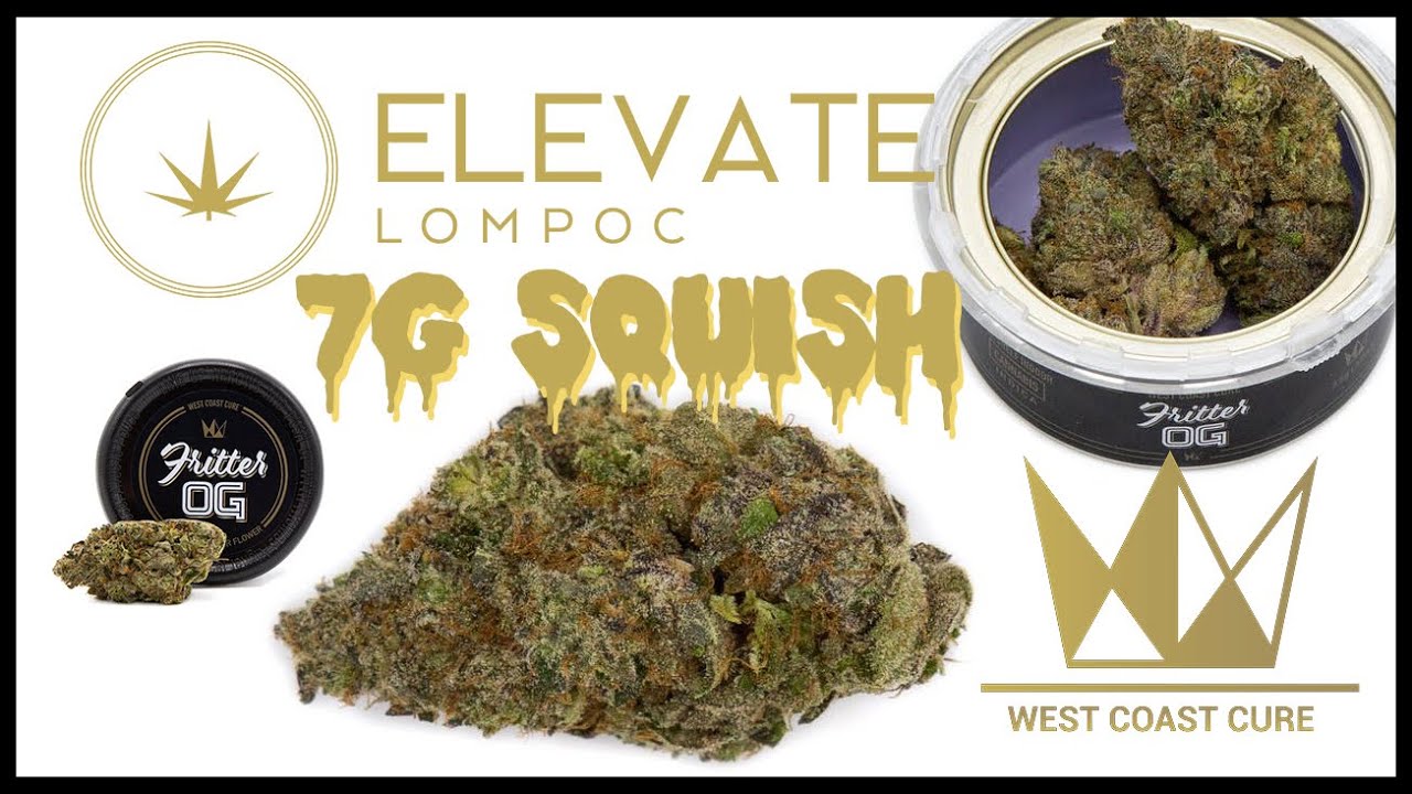 ROSIN PRESSING WEST COAST CURE FRITTER OG!