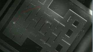 Swiss Microrobot Playing Pac Man I