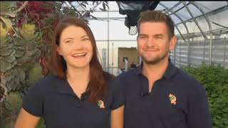 Fish to fertilizer: Denton greenhouse uses unique method to cultivate plants
