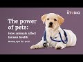 The power of pets how animals affect human health