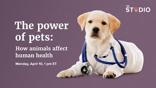 The power of pets: How animals affect human health