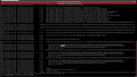 Plotting chia on external machine