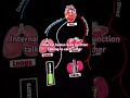 humane internal organs system | मानव शरीर के अंग | our organ parts #studywithsmile #shorts #trending