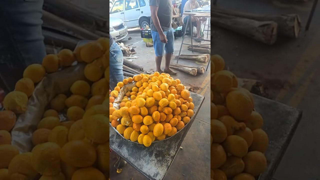 fui fazenda Walter Marques  está ao vivo!