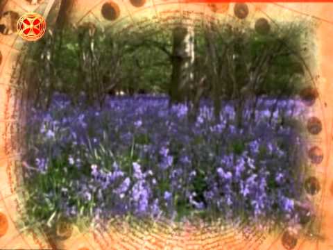 საეკლესიო კალენდარი - 14 დეკემბერი