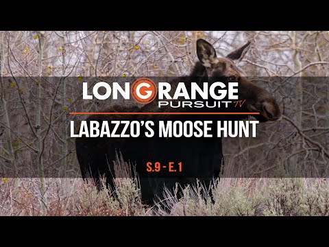 Long Range Pursuit | S9 E1 LaBazzo's Moose Hunt