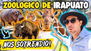 ZOOLÓGICO de IRAPUATO de los MÁS BONITOS en MEXICO🇲🇽🦁🦒 Precios y GUÍA COMPLETA✅