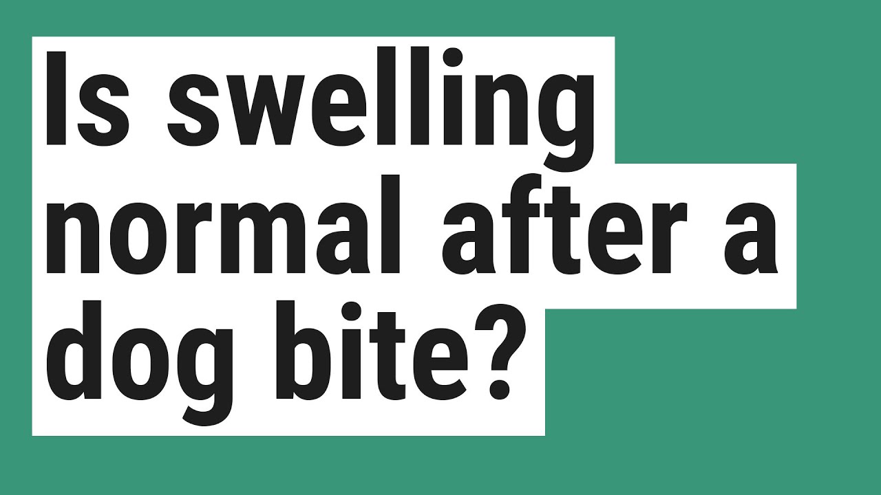 Is Swelling Normal After A Dog Bite YouTube
