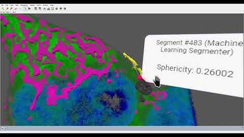 Virtual Reality 3D High Resolution Confocal Images Neurosensory Cells