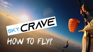 Language of soft wings screenshot 3