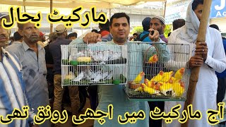 Birds Market Lalukhet Sunday Video Latest Update 12-5-24 in Urdu\/Hindi