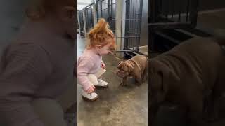 Waooo🐶 Chhota Sa Shararti Puppy Baby Girl Par FULL Kiss Attack Mode Mein😱 @Ilmidunya786 #puppy #cute
