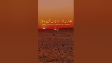 تلاوة خاشعة 😌🍉🤍 #viral #اكسبلور #المصحف #إسلام #راحة_نفسية #yasseraldossary #quran #islam