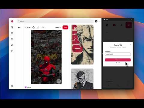 Barc video preview 2