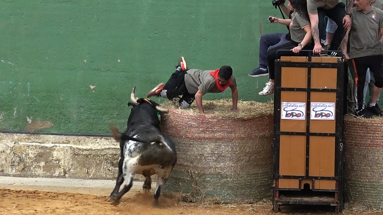 Villafáfila Toro de San Isidro 2024