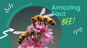 Buzzing Secrets: Unveiling Unknown Bee Facts
