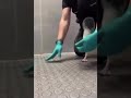 Adorable penguin's reaction when her favorite vet comes to check up on her 🥺