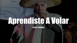 Vicente Fernández - Aprendiste A Volar (LETRA)